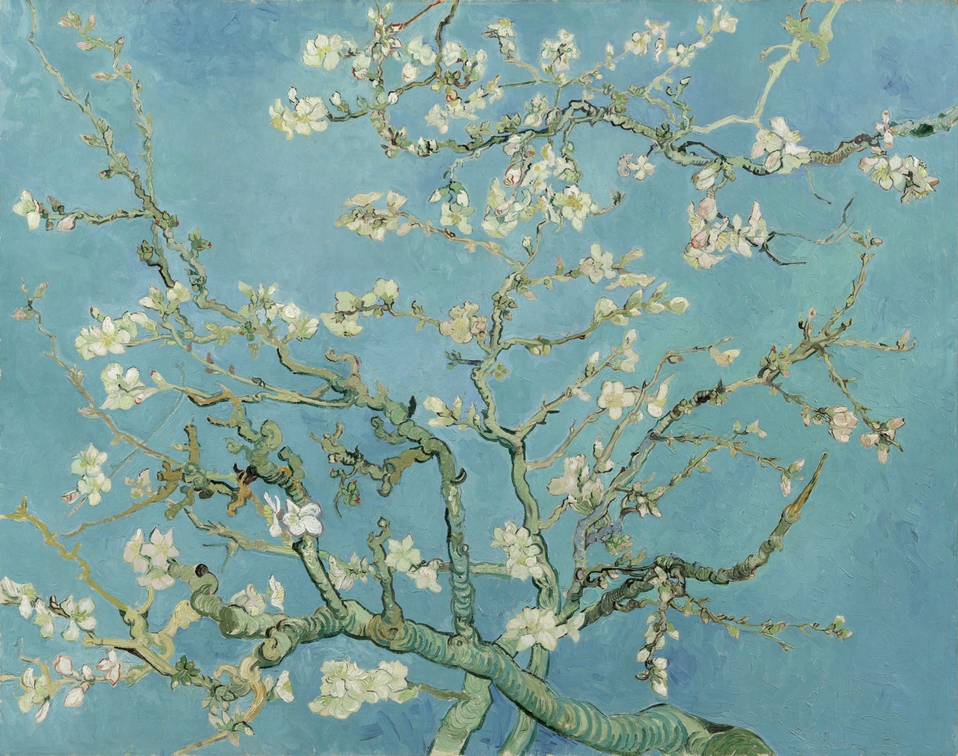 Vincent Van Gogh - Almond Blossom 